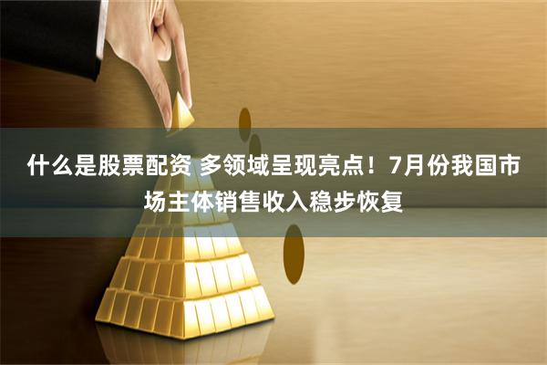 什么是股票配资 多领域呈现亮点！7月份我国市场主体销售收入稳步恢复